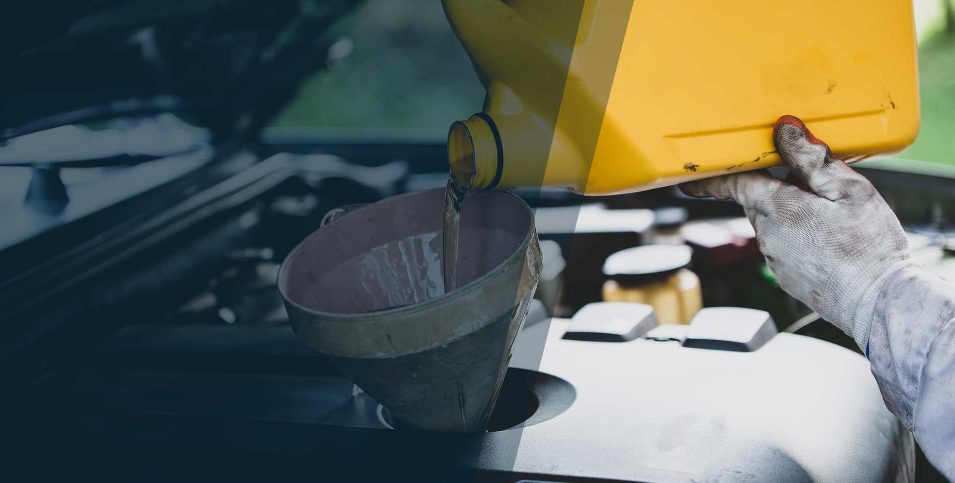 Discover CASS Group Shipping, Logistics, Travel, and More